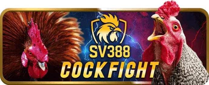 Trò chơi slot theo chủ đề wt88